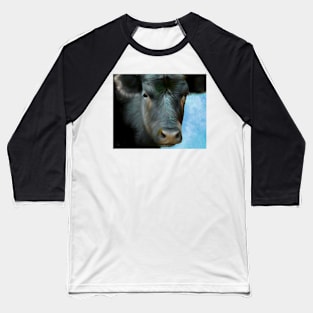 Black Cow On Blue animal art cows Baseball T-Shirt